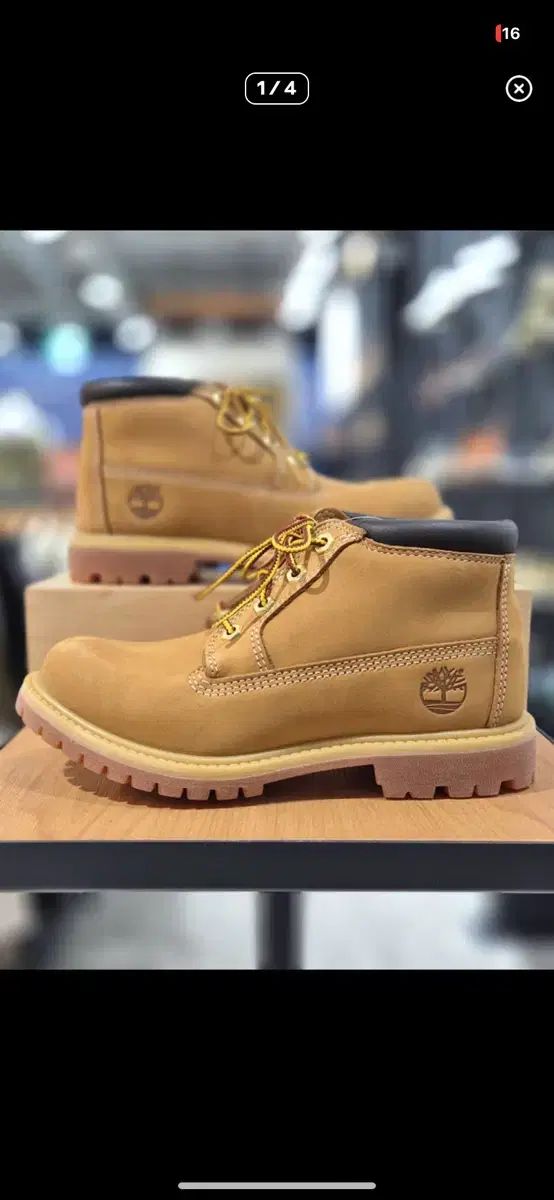 午前まで Timberland レディース ネリー ウォータータフ チュカブーツ 250