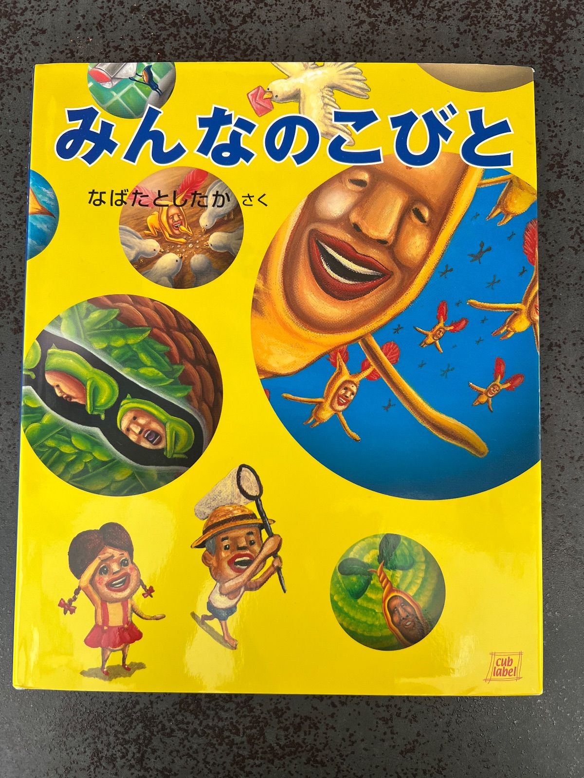 セット】 こびと観察入門 こびとづかん みんなのこびと DVD 本 セット