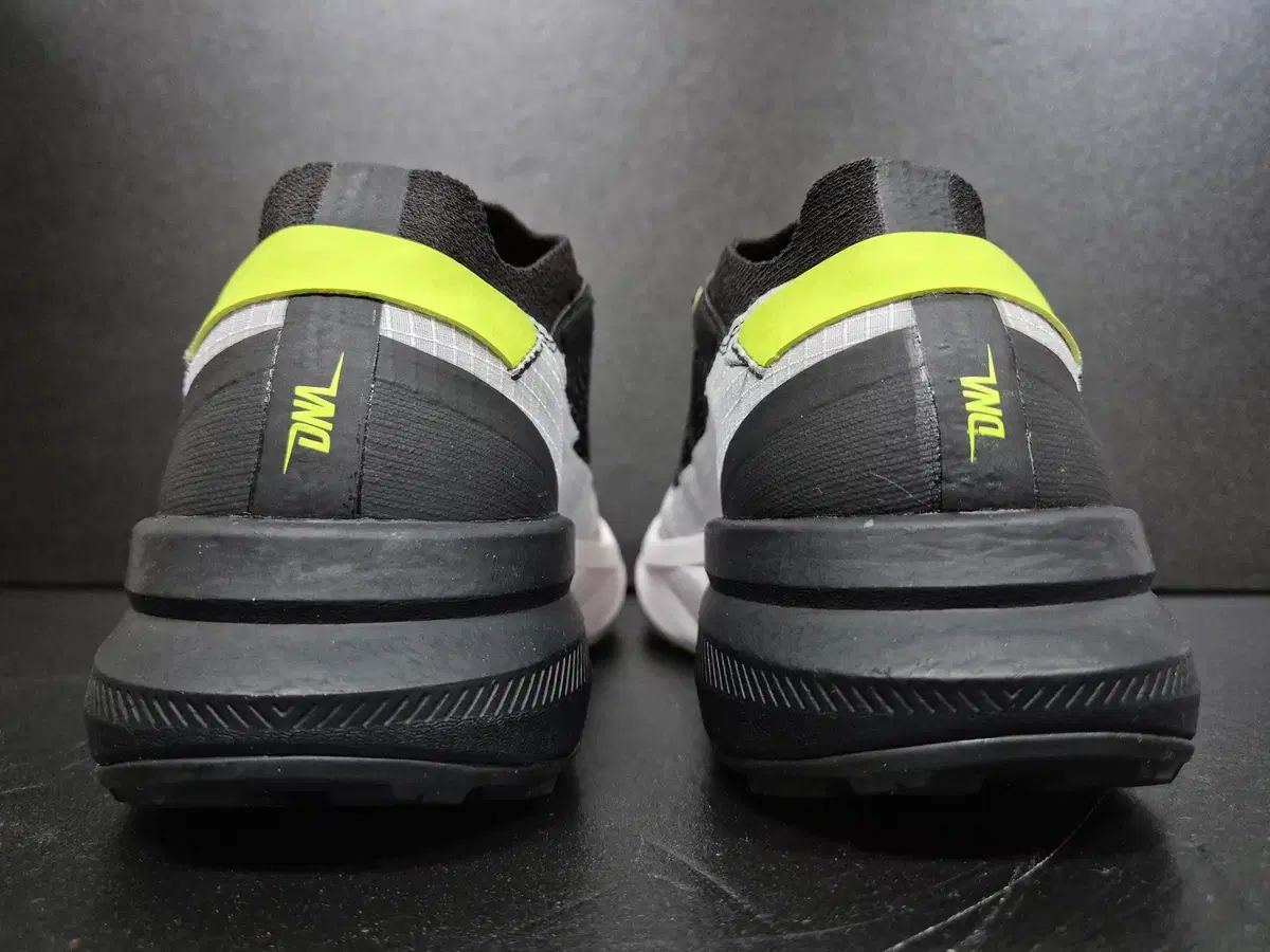 ディナフィット