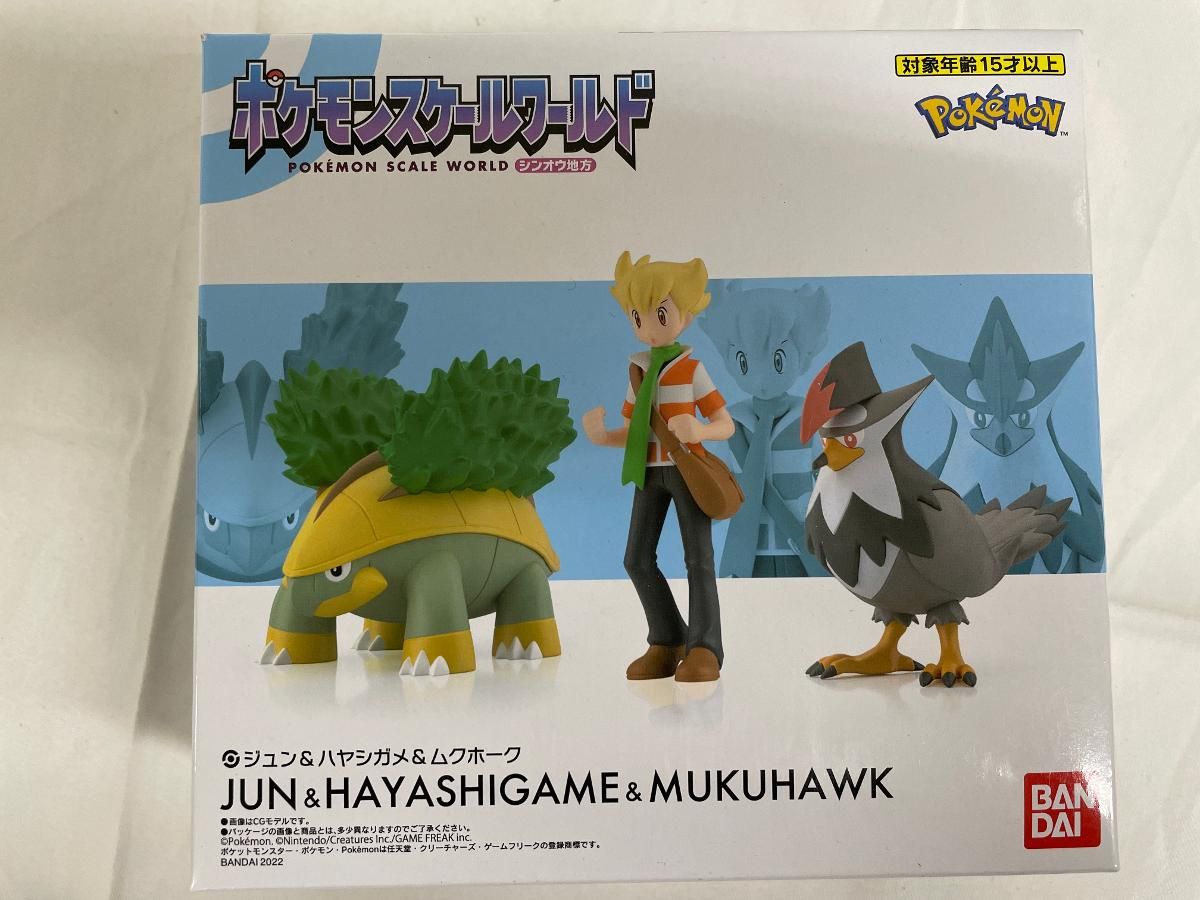 ポケモンスケールワールド シンオウ地方 ジュン＆ハヤシガメ