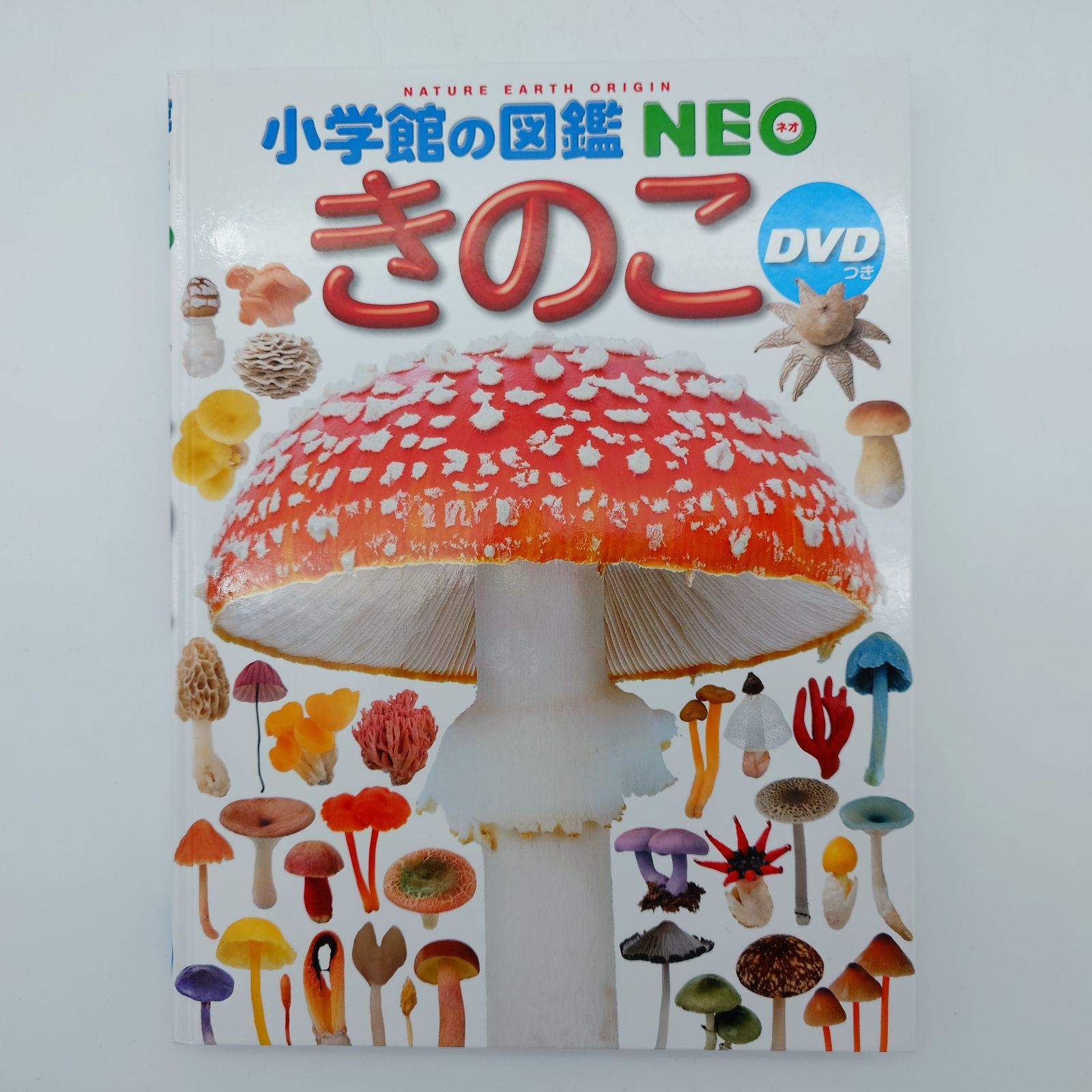 小学館の図鑑NEO 7冊セット DVD付 7 小学館の図鑑NEO きのこ DVD付き 中古本 - メルカリ