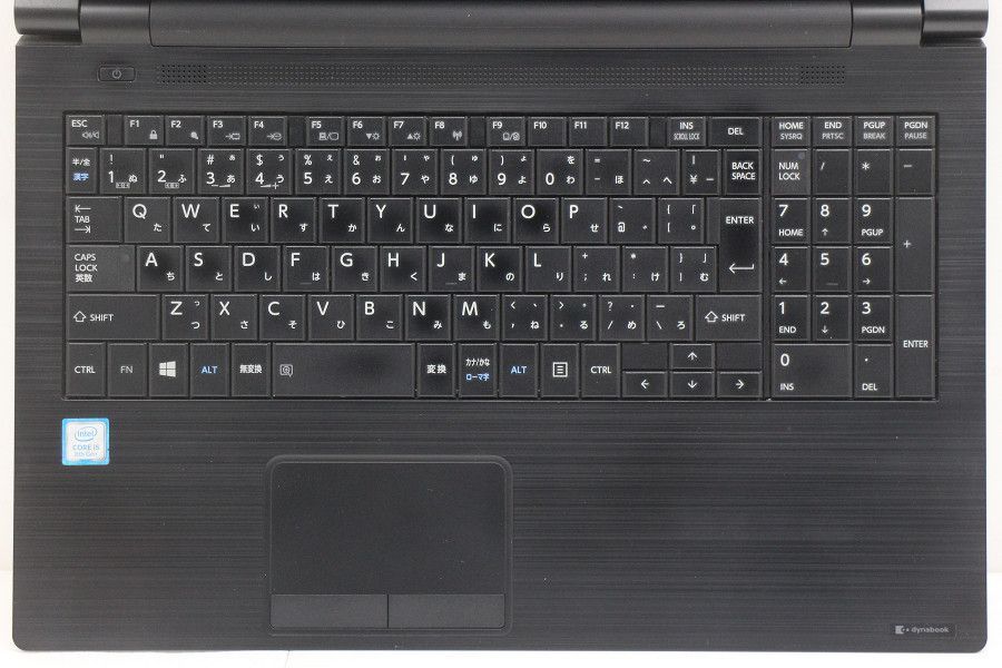 dynabook B 65|M Core i 5 8250 U 1.6 GHz|8 GB|256 GB SSD |DVD|15.6 W|FWXGA 1366 x 768 |Win 11