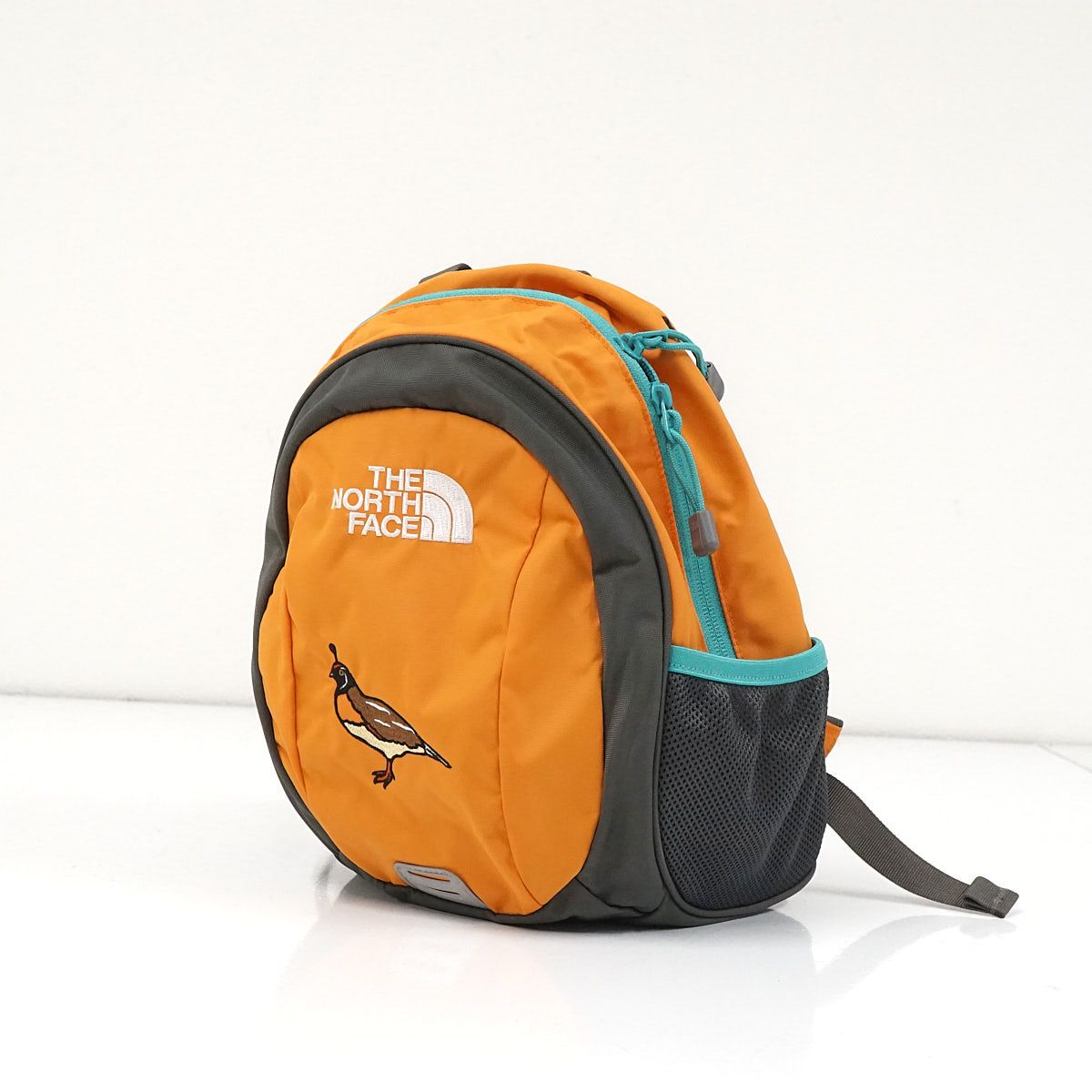 THE NORTH FACE ザ・ノース・フェイス キッズリュック USED美品 8L 