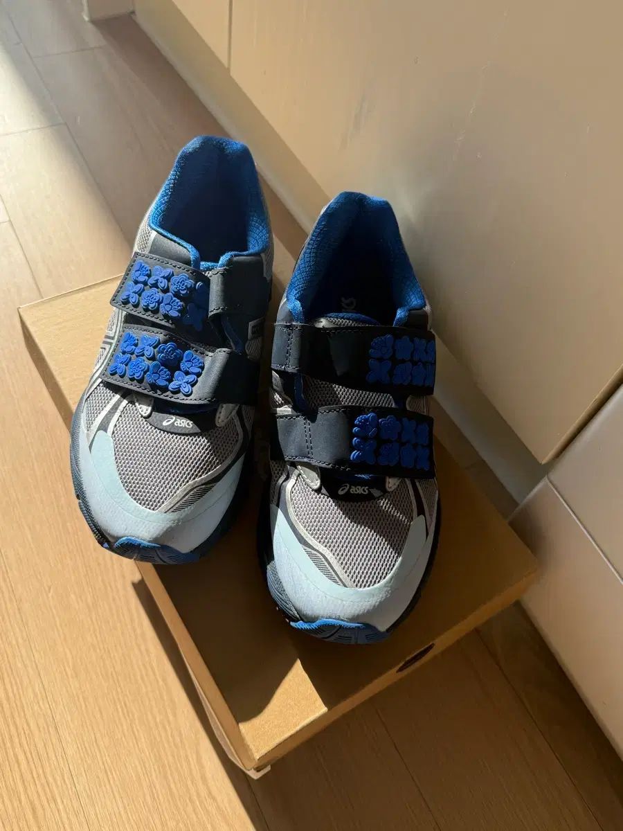 アシックス セシリーバンセン 240 ボックス フルセット