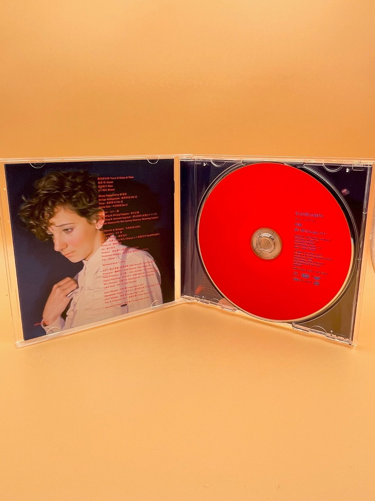 帯付 初回限定盤 RADWIMPS CD 絵本付 ラッドウィンプス サイハテアイニ