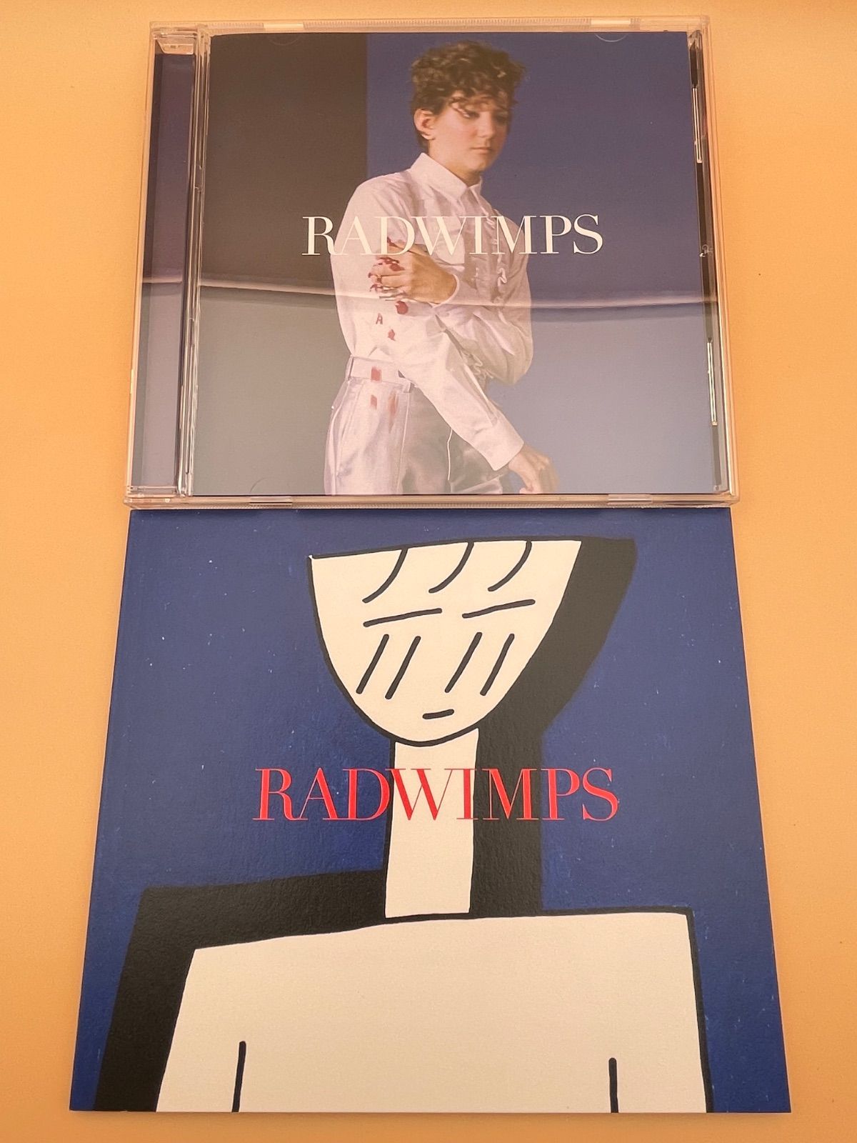 帯付 初回限定盤 RADWIMPS CD 絵本付 ラッドウィンプス サイハテアイニ