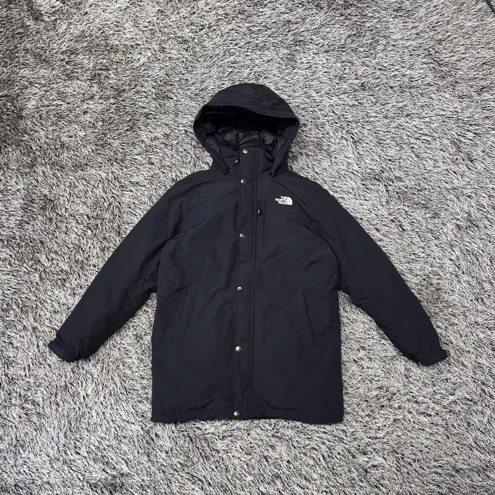 THE NORTH FACE ザノースフェイス フライオン RDS ダウン ジャケット|キッズ 160 |JP 1424