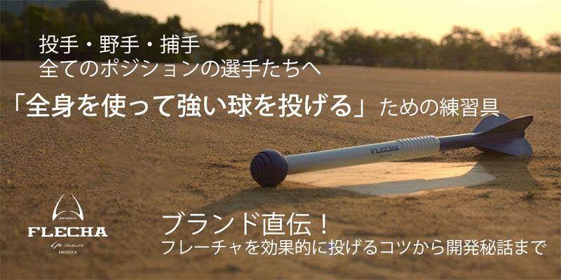 アイピーセレクト Ip select FLECHA フレーチャ トレーニング 野球
