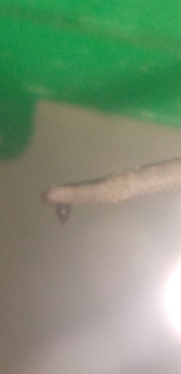 Audio-Technica オーディオテクニカ AT-10 G VM Cartridge カートリッジ |00200