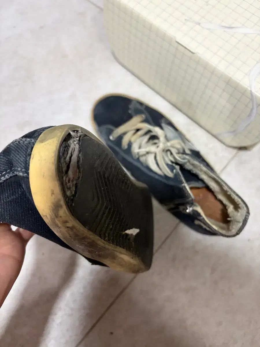 GOOSE ゴールデングース