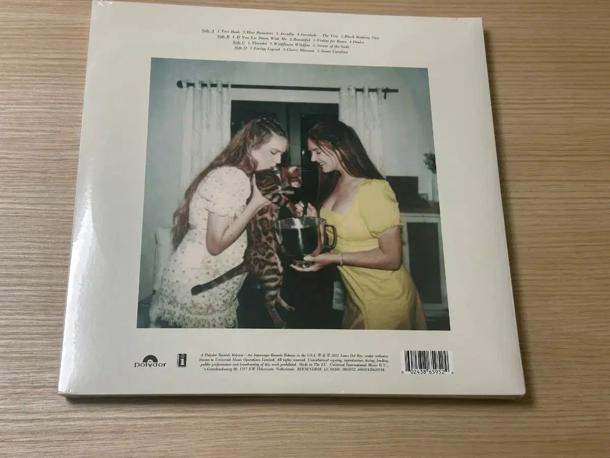 ラナ デル レイ Blue Banisters ホワイトカラー班 LP その他 楽器 機材 ホビー 楽器 アート