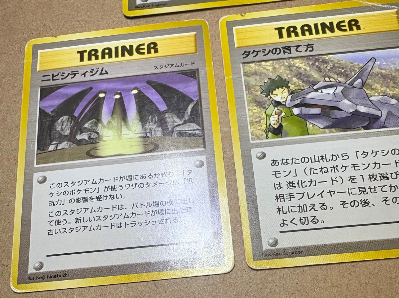 ノーマルタケシ＆ニビシティジム＆タケシの育て方(イワークのイラスト