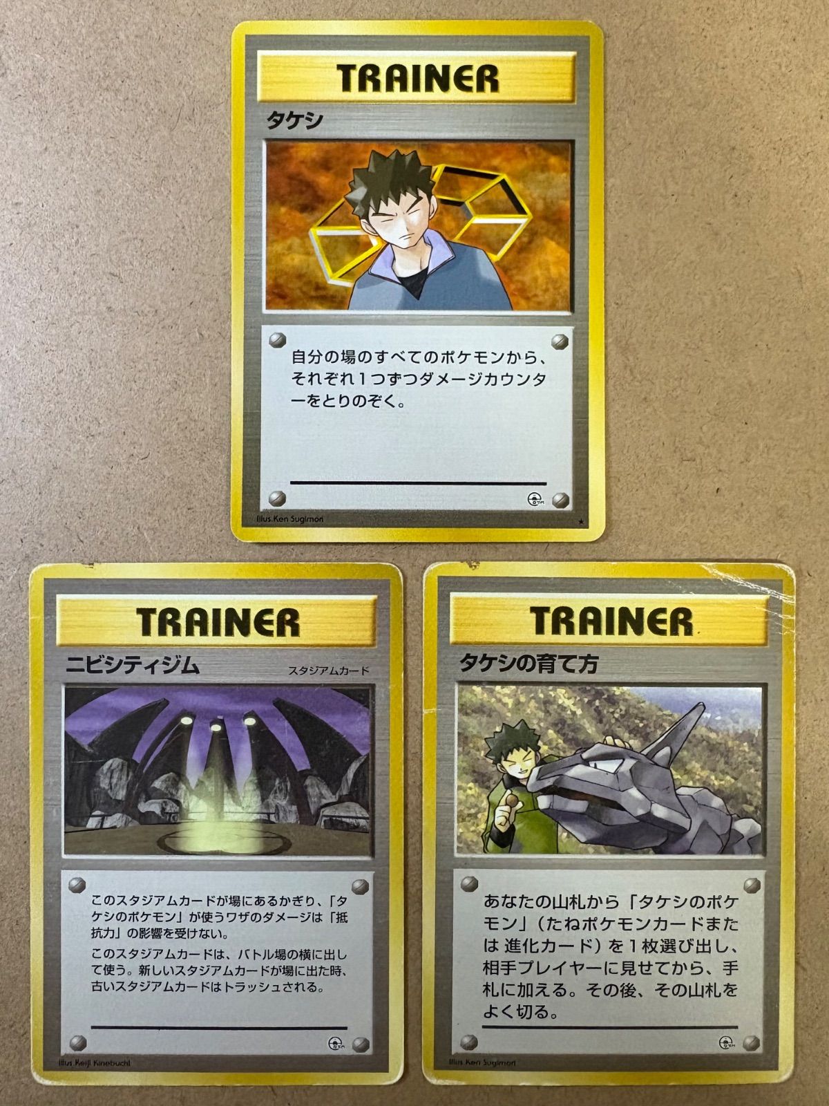 ノーマルタケシ＆ニビシティジム＆タケシの育て方(イワークのイラスト