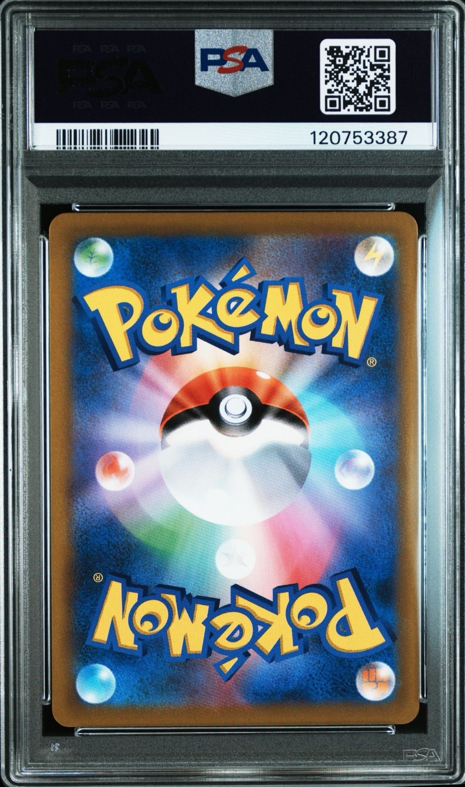 PSA 10 ユウリ SR 276 184 s 8 b 11201