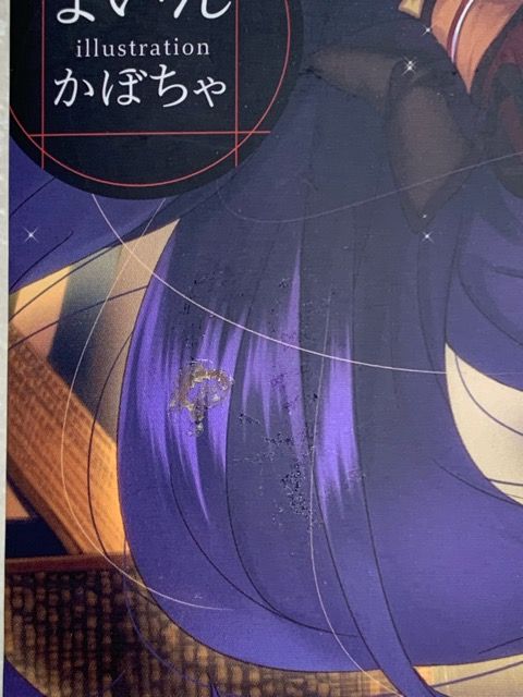 二度目の人生を異世界で ライトノベル 全巻 セット【E1918-008】013