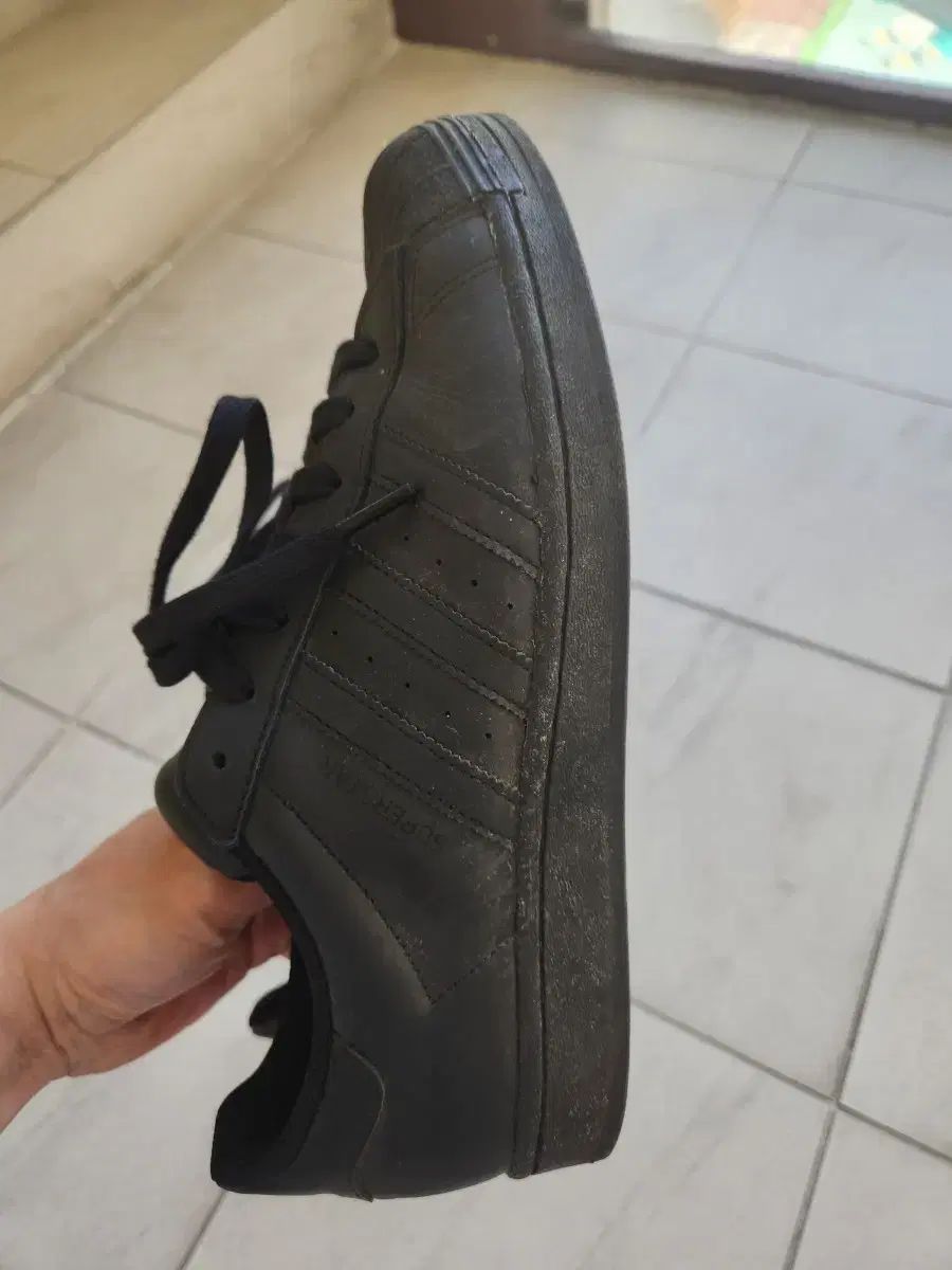 トリプルブラック 270