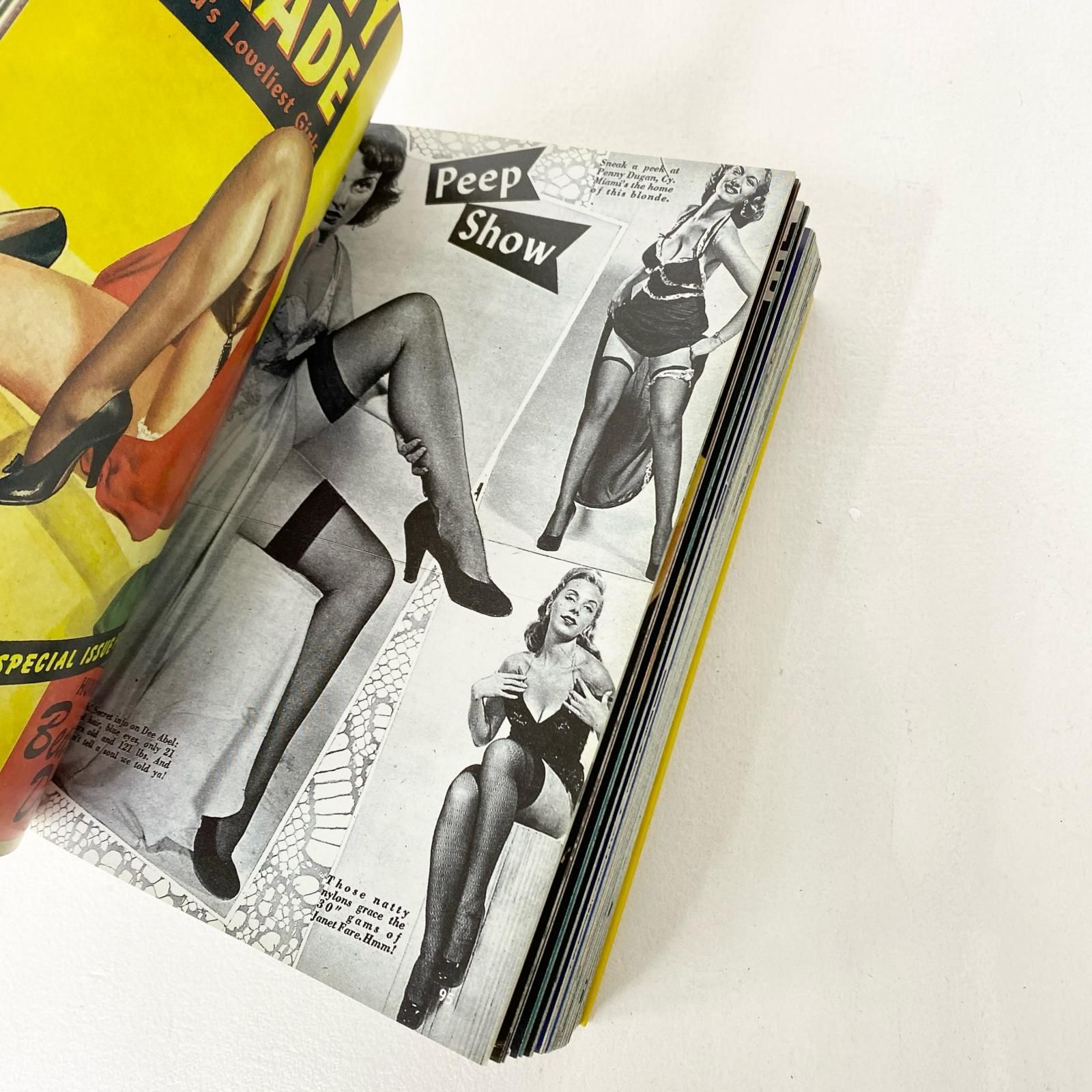 グレートアメリカンピンナップ　画集　TASCHEN グレートアメリカンピンナップ 画集 TASCHEN The Great American Pin