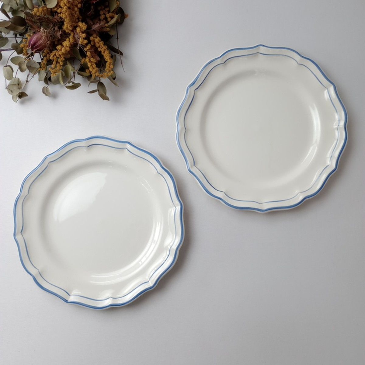 GIEN ジアン プレート 皿 2Pセット フリル縁 ライン入り セット