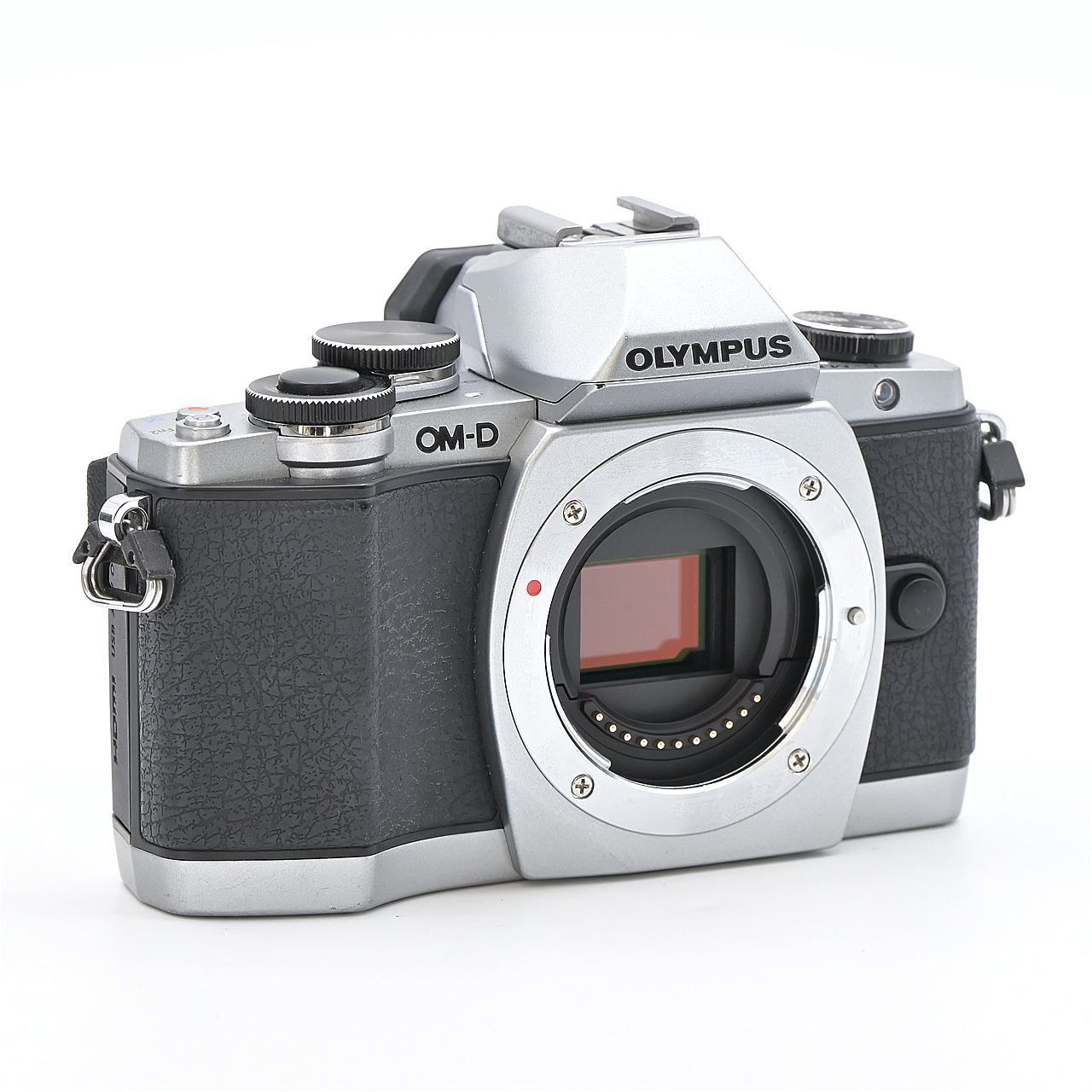 ボディ シルバー