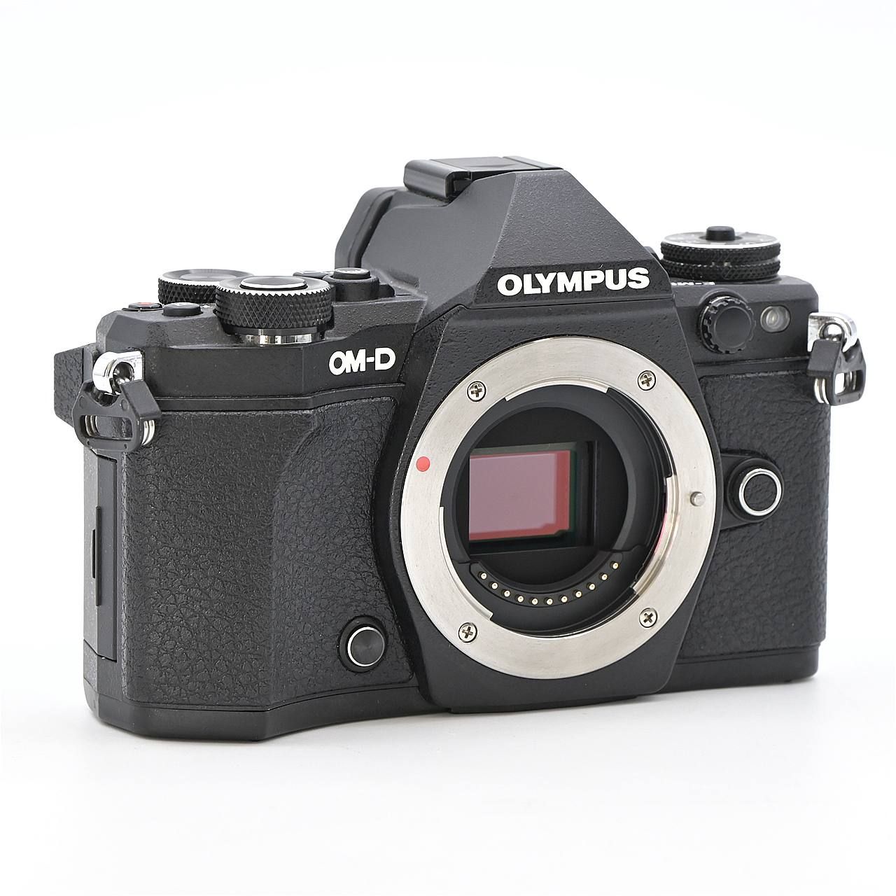 ブラック ミラーレス一眼レフカメラ