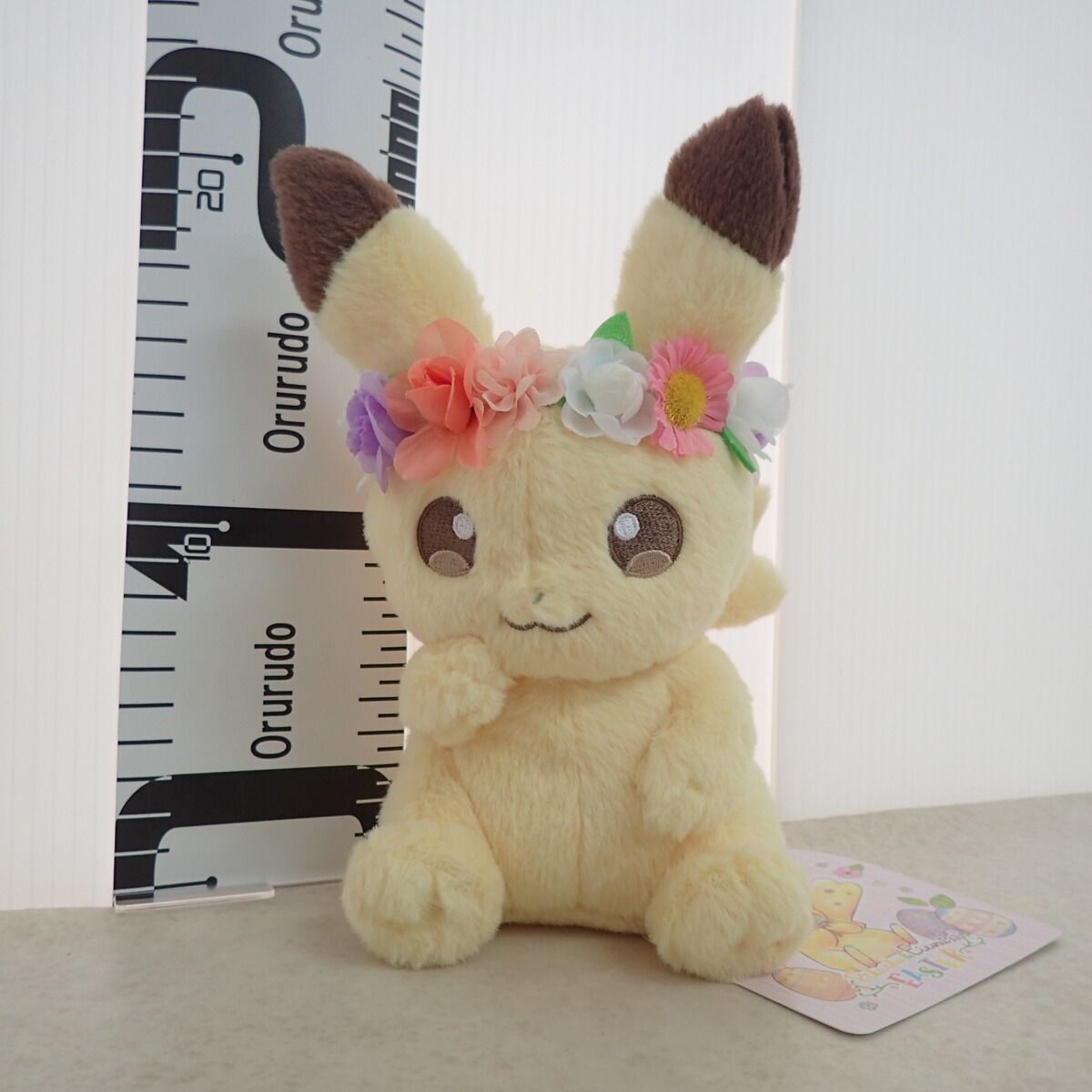 2017年 Pikachu