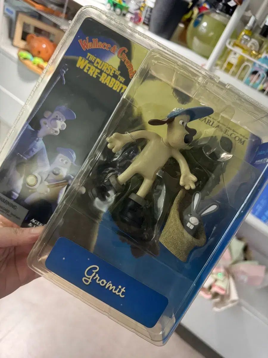 ウォレス巨大うさぎ