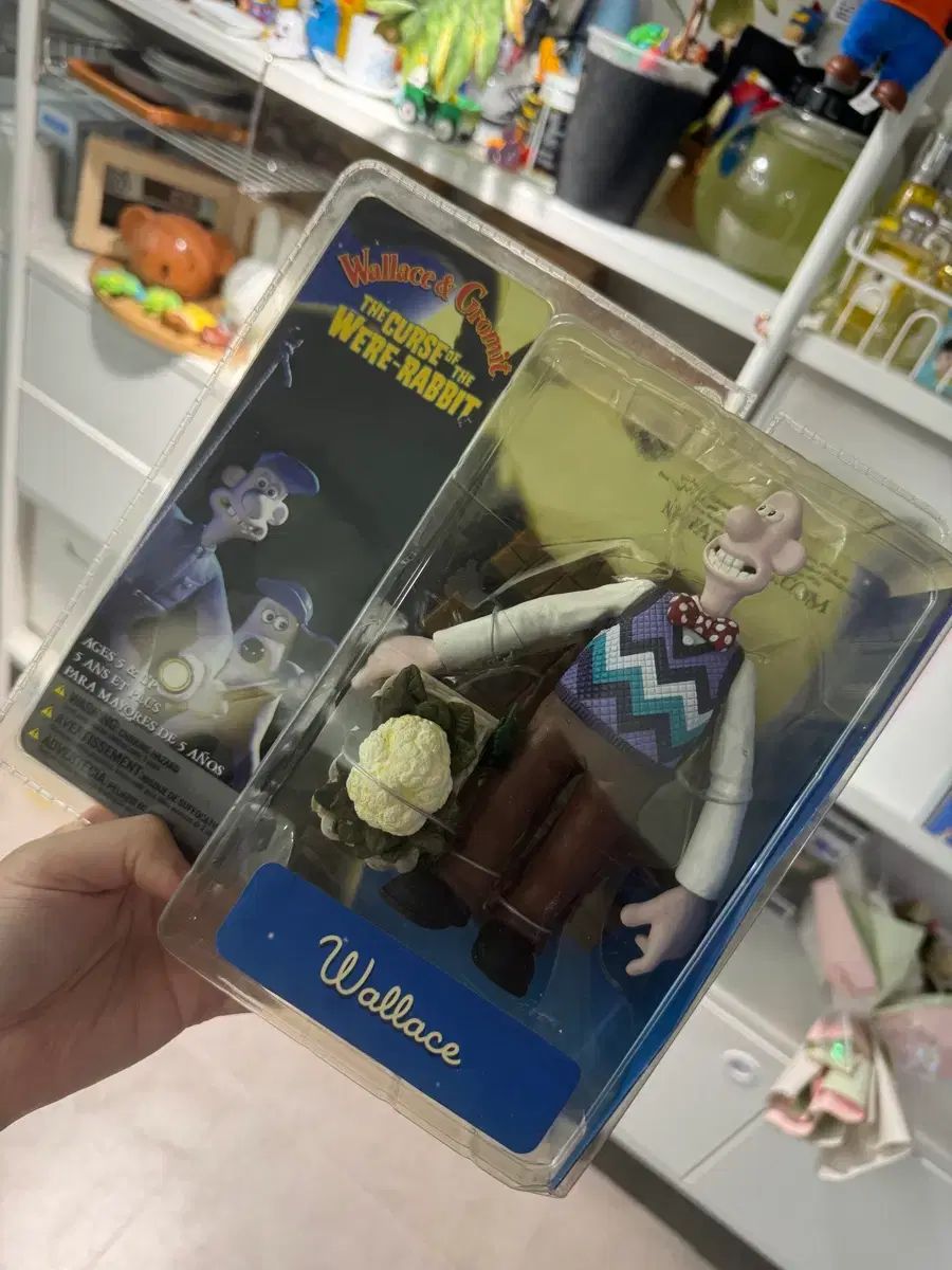 ウォレス巨大うさぎ