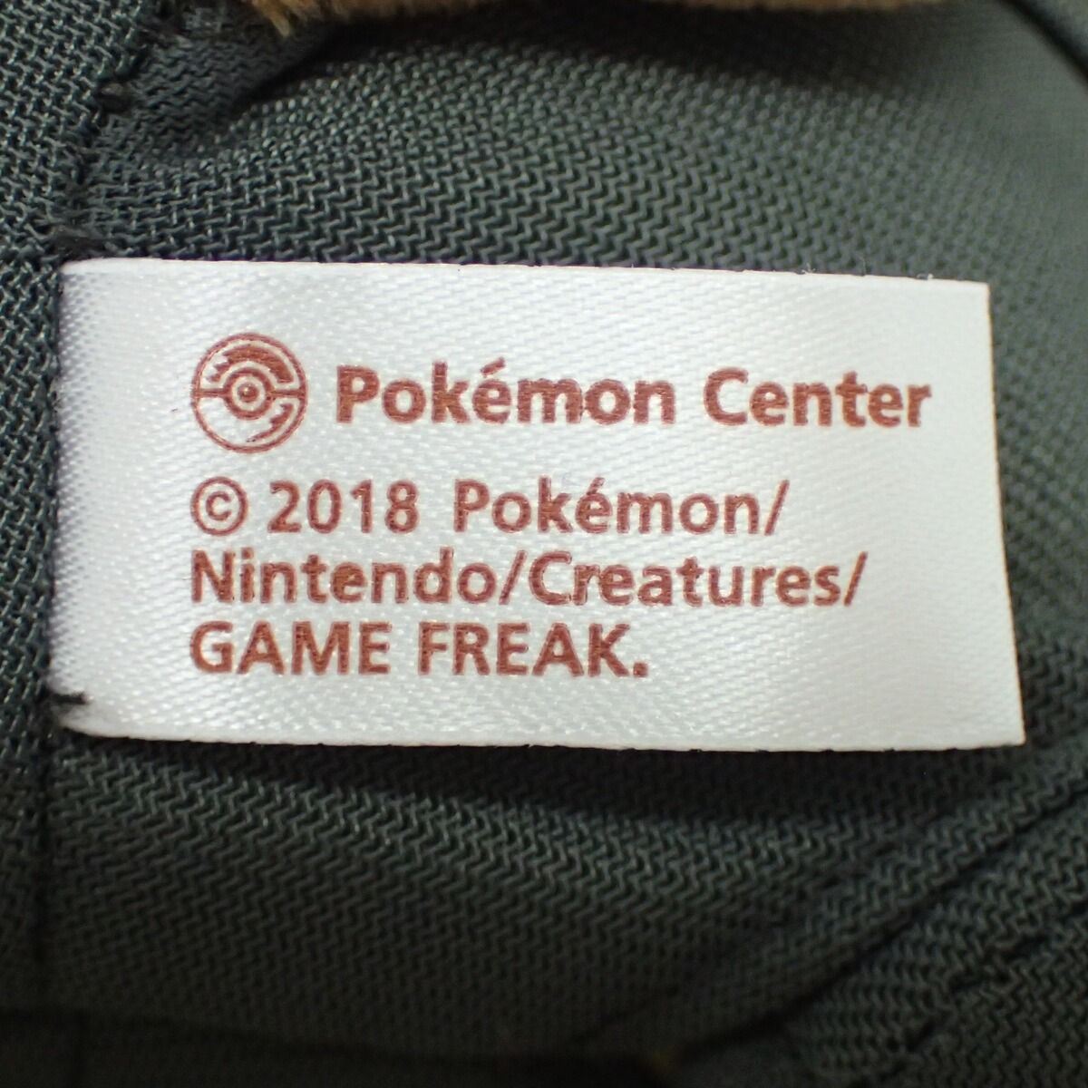 ポケモンセンター ぬいぐるみ ボスごっこピカチュウRR アクア団