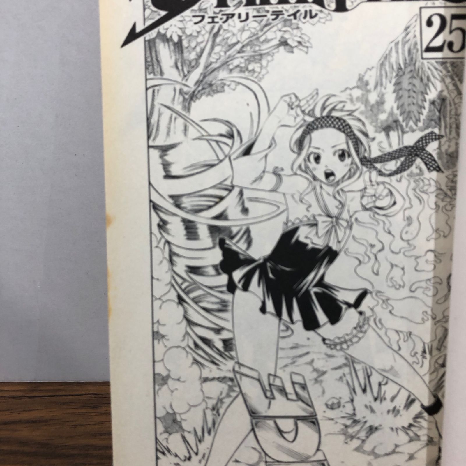 FAIRY TAIL 25巻/【作者】真島ヒロ/GF-0225060904-YP/GF08761 - メルカリ