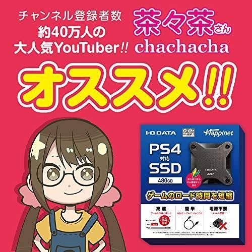 PS4対応 外付けSSD 480GB 【公式通販】