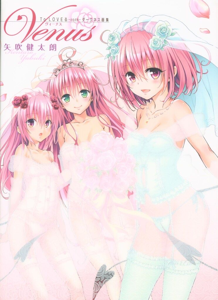 ToLOVEる ダークネス 全巻セット 文庫版 漫画 コミックス 矢吹健太朗 未開封 To LOVEる－とらぶる－ダークネス画集Venus （愛蔵
