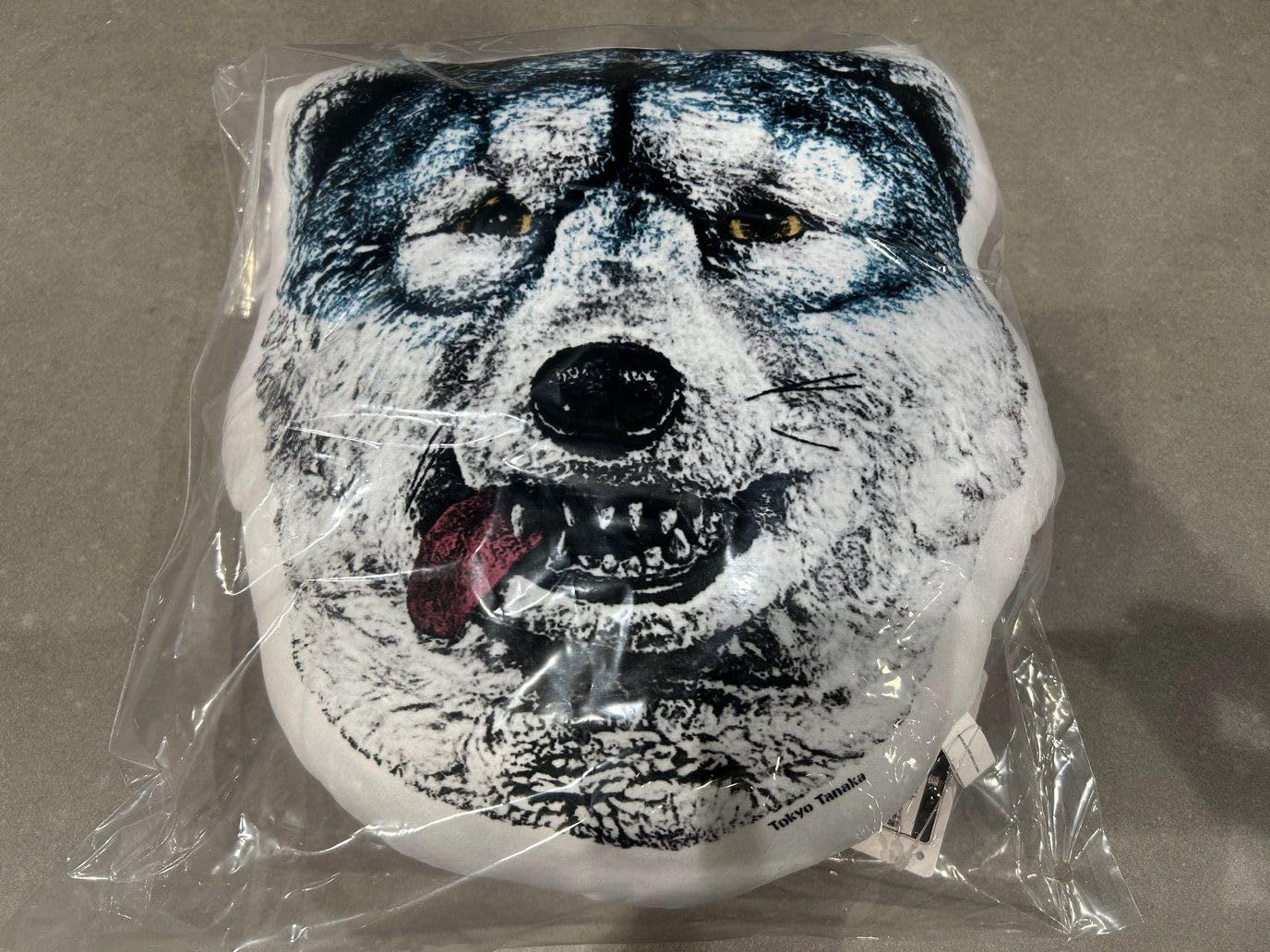 MAN WITH A MISSION マンウィズアミッション マンウィズ MWAM 15th
