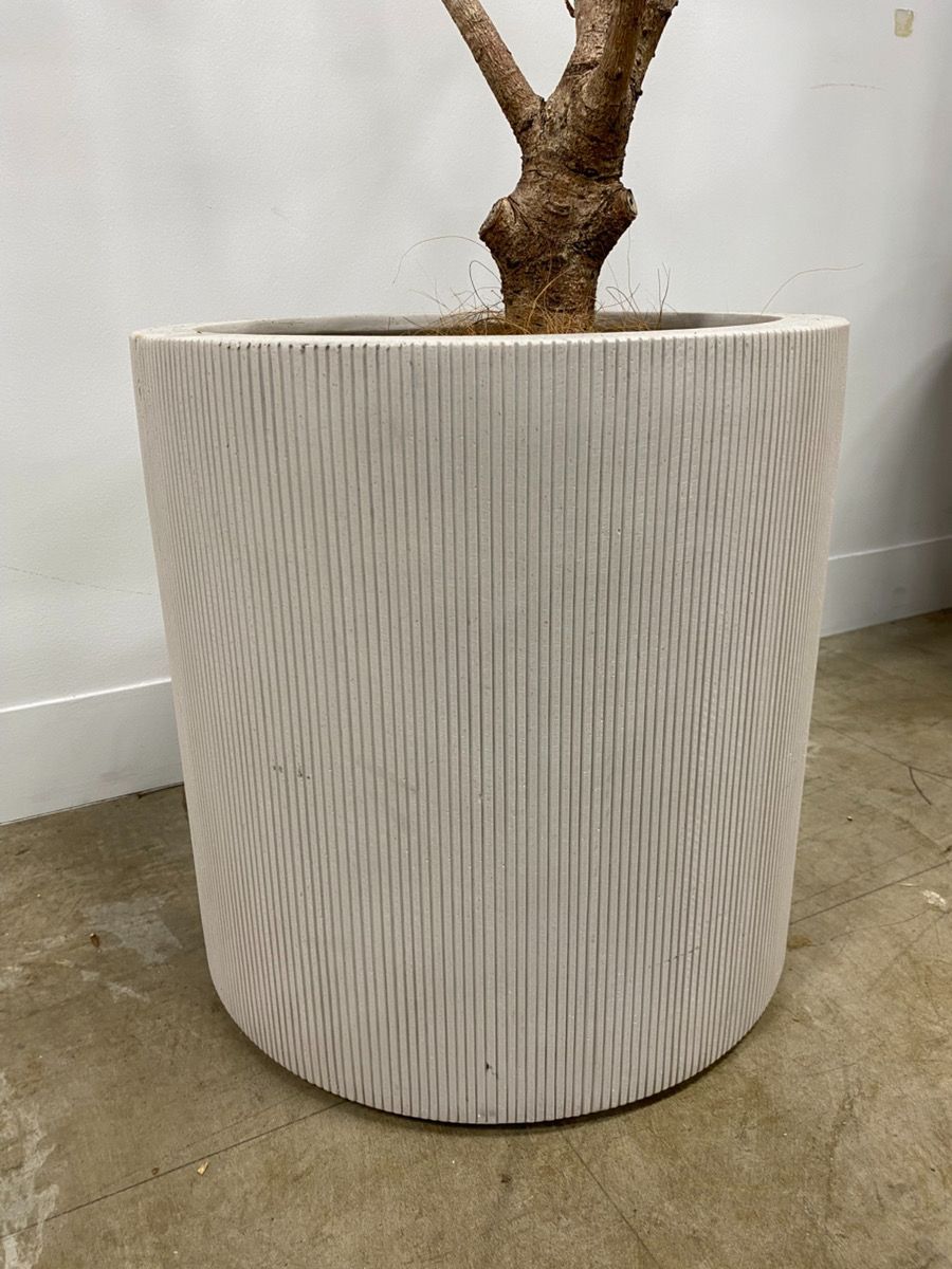 【良品】大型プランター Cylinder 縦ライン ホワイト 直径40cm 高さ40cm 手渡し限定】【良品】大型プランター Cylinder 縦ライン ホワイト 直径