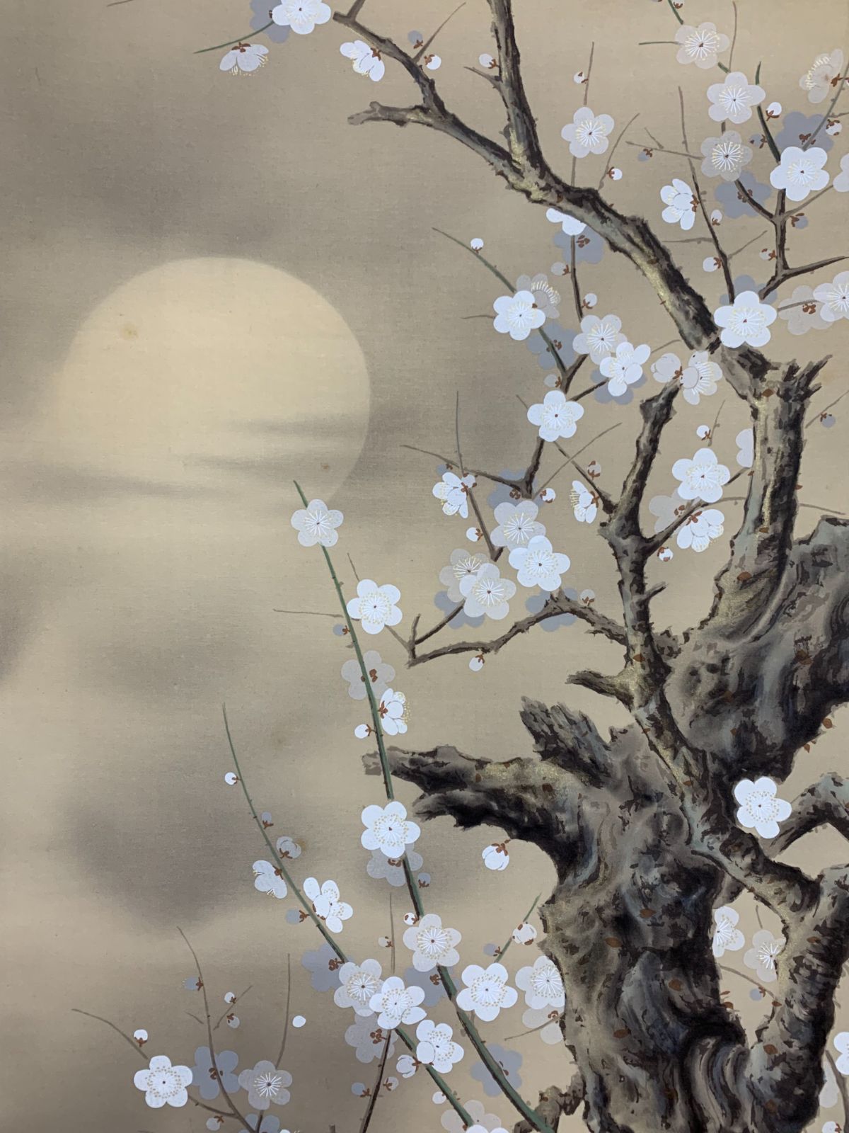 掛け軸】257 斎藤昌栄「寒月」#桜 #夜桜 #朧月 #茶掛 #掛軸 #古美術