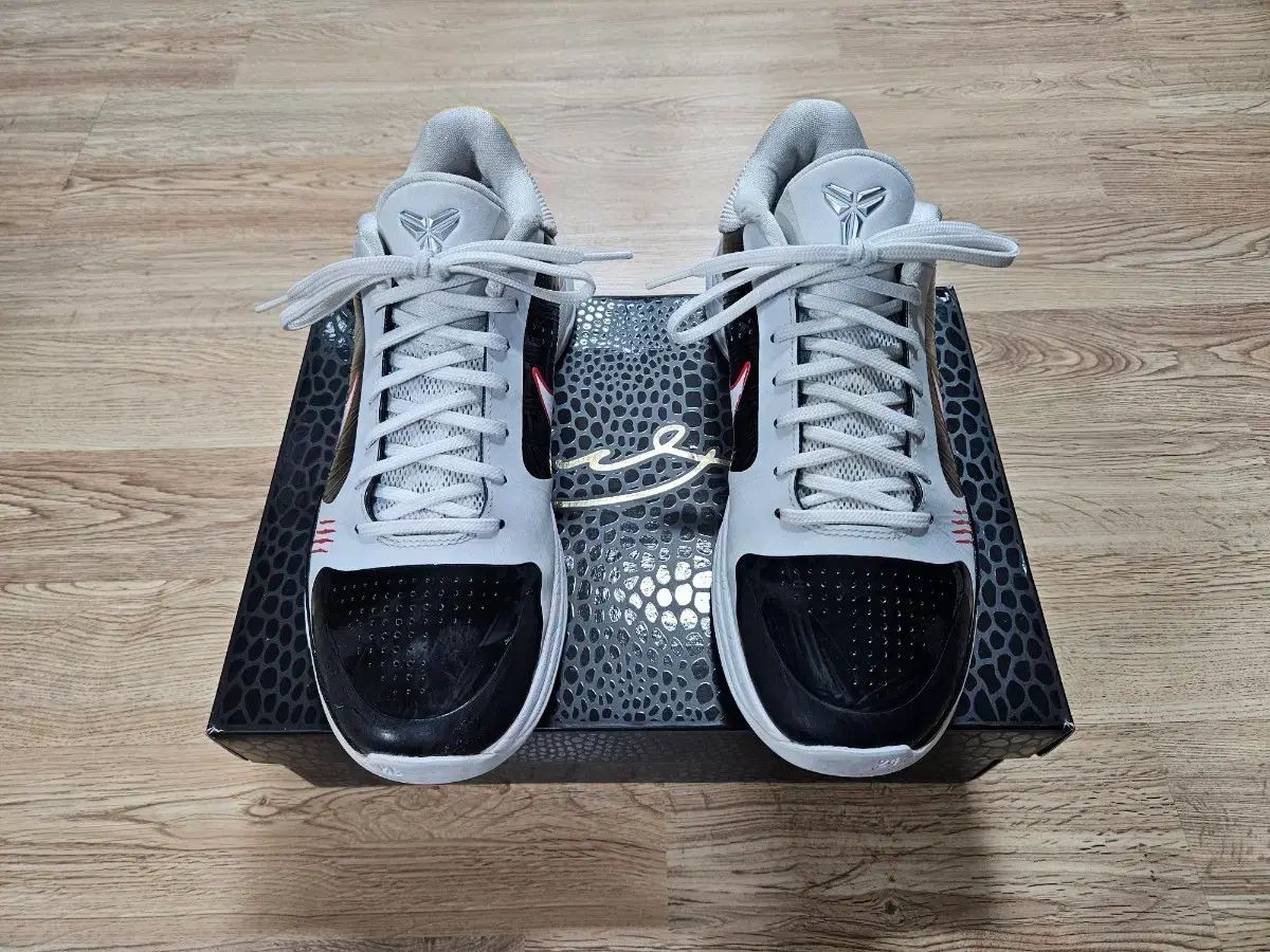 270 NIKE コービー 5 プロトロ アルタネイト ブルース リー