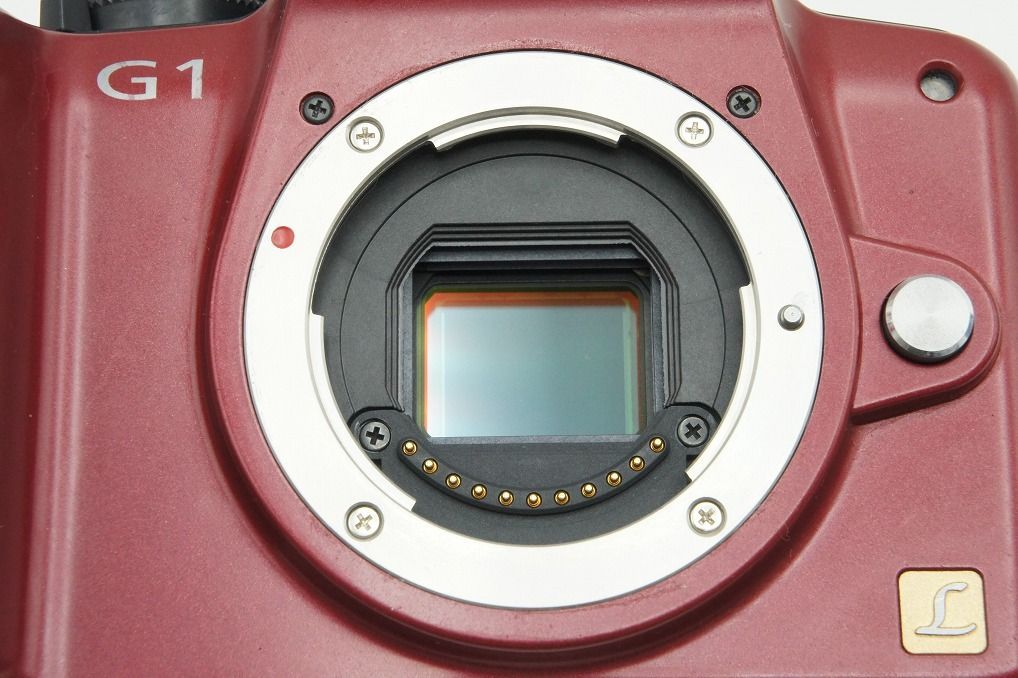 ジャンク品】LUMIX DMC-G1 ミラーレス一眼カメラ ボディー Panasonic 