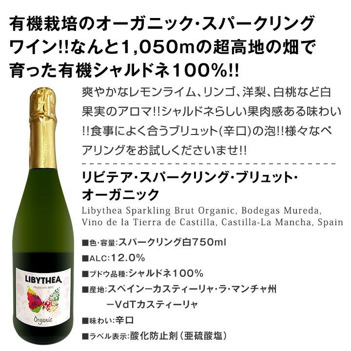 厳選辛口スパークリングワイン12本SET 第128弾 送料無料 - メルカリ