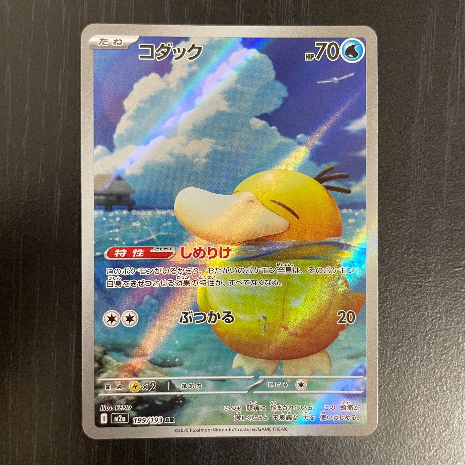 コダック AR 20枚まとめ売り コダック AR 20枚まとめ売り