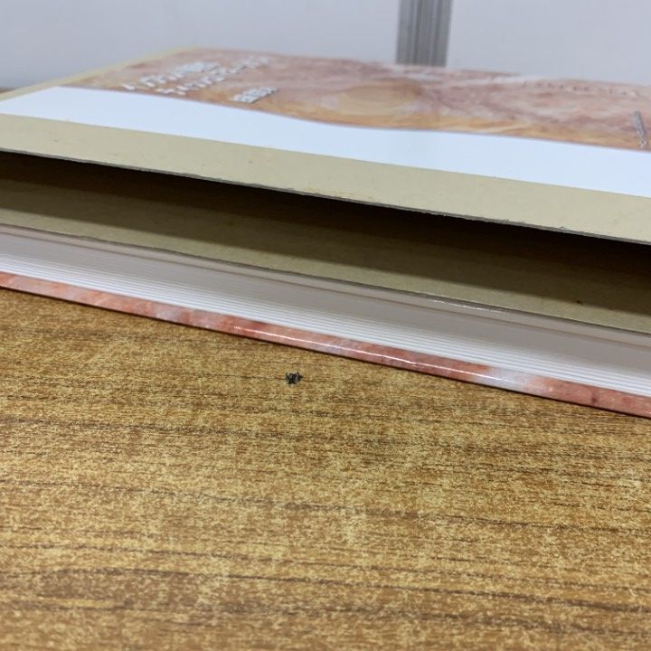 △01)【1点限り!】インプラント周囲のティッシュ・マネージメント/佐藤