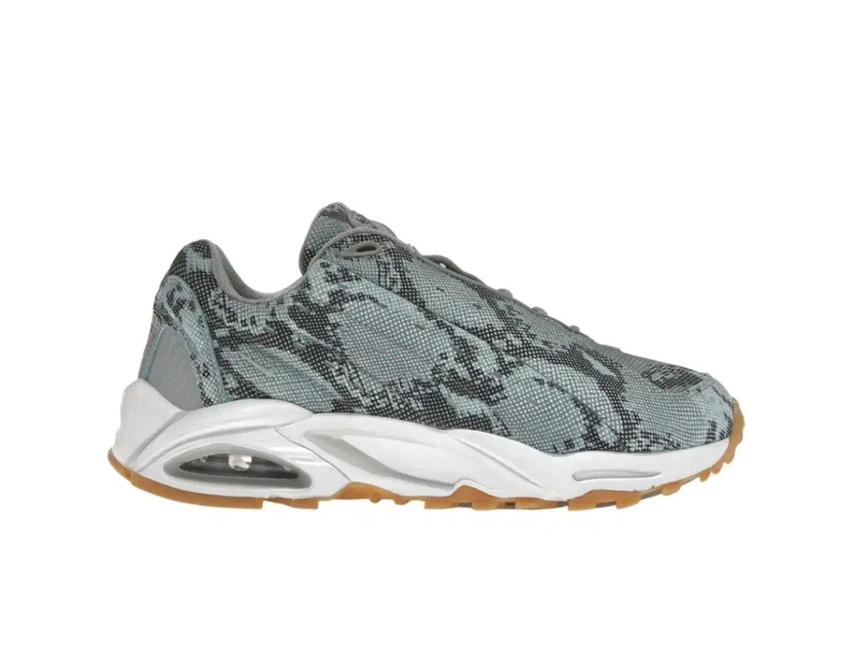 Nocta HOT Face the Sun 新商品 260