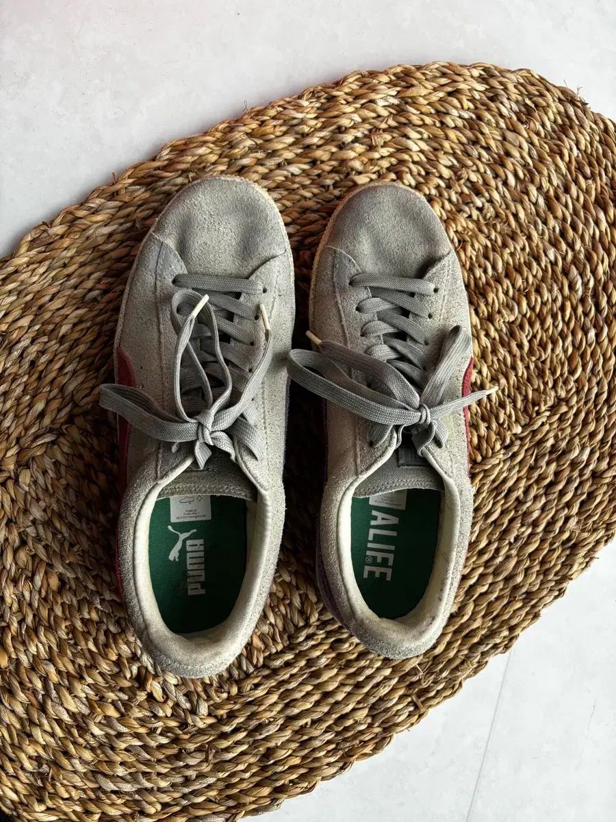 スウェード ポップ