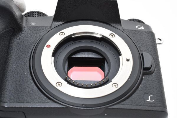  パナソニック Panasonic LUMIX DMC-G 7 ボディ 8651 F.DEC.1625 ミラーレス一眼 デジタルカメラ