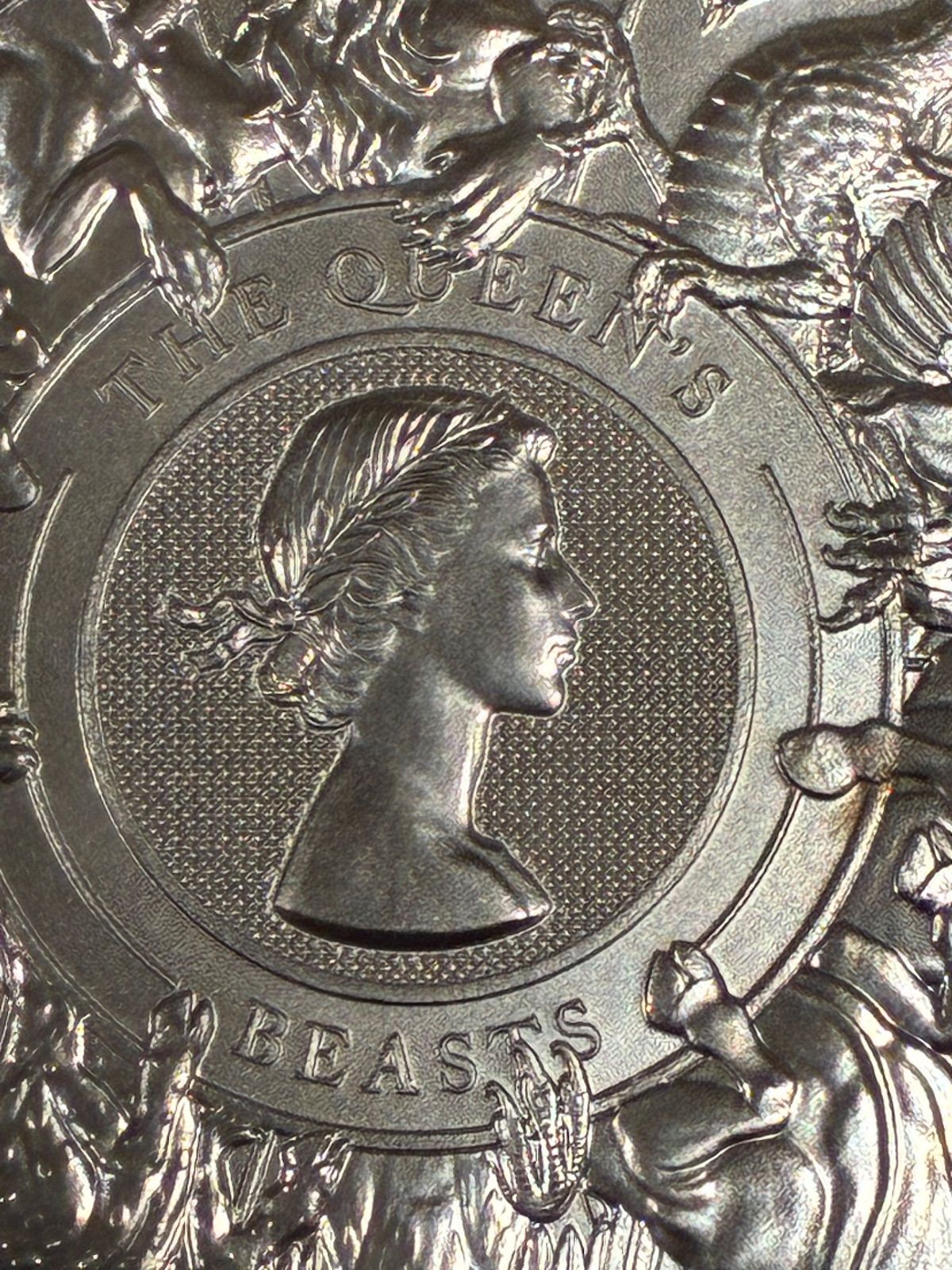 コンプリーター