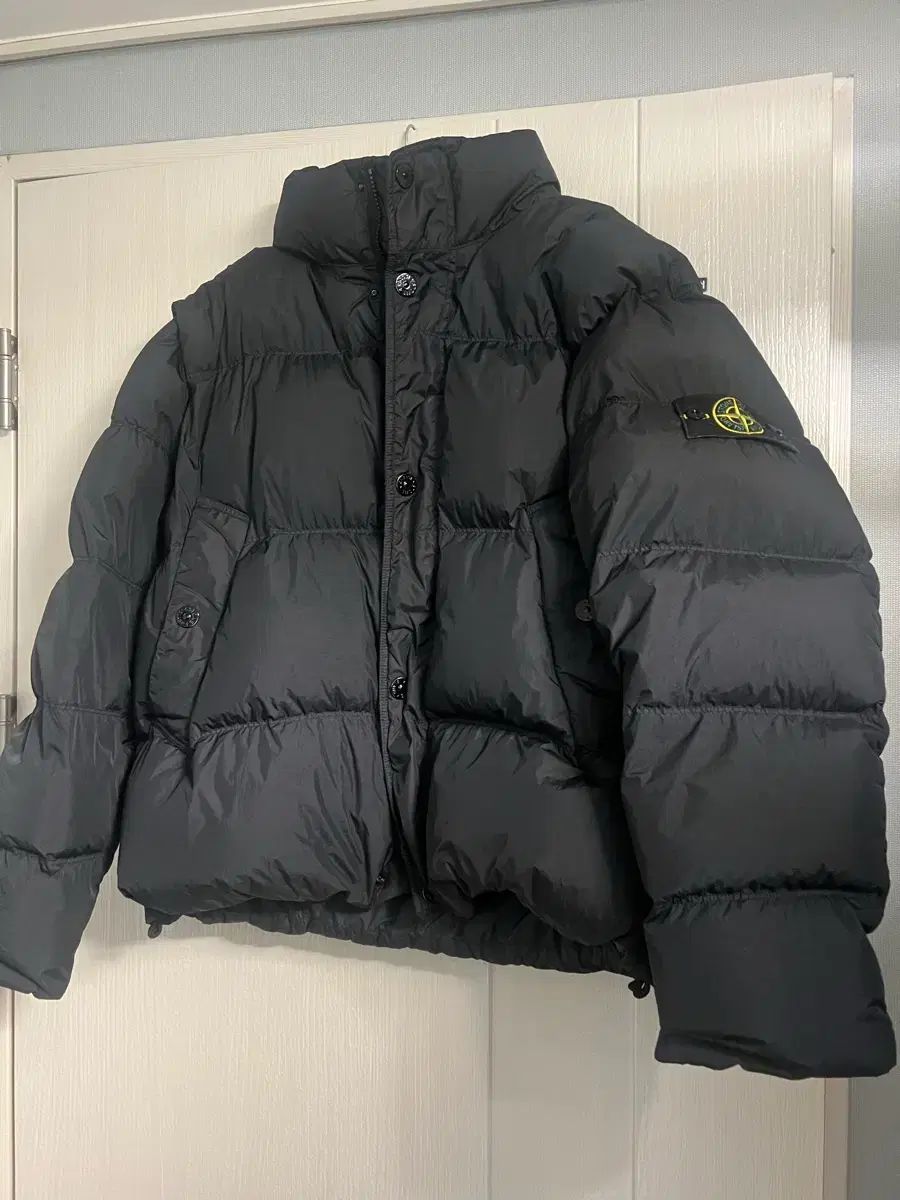 25 fw ストーンアイランド ダウン L