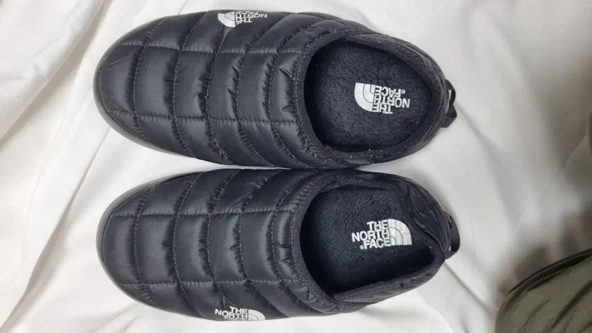 FACE ザノースフェイス