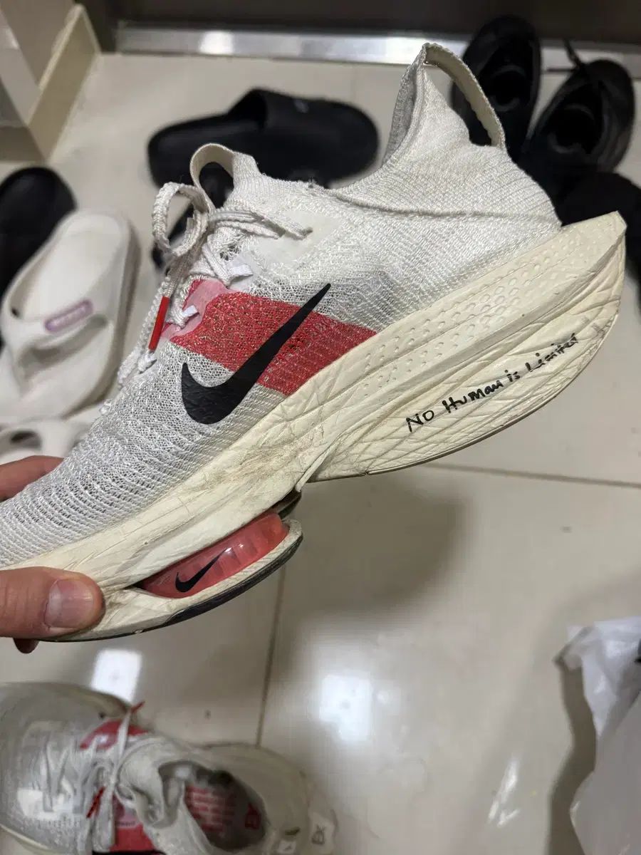  ナイキ ズームX EK 白 ランニングシューズ スニーカー 靴