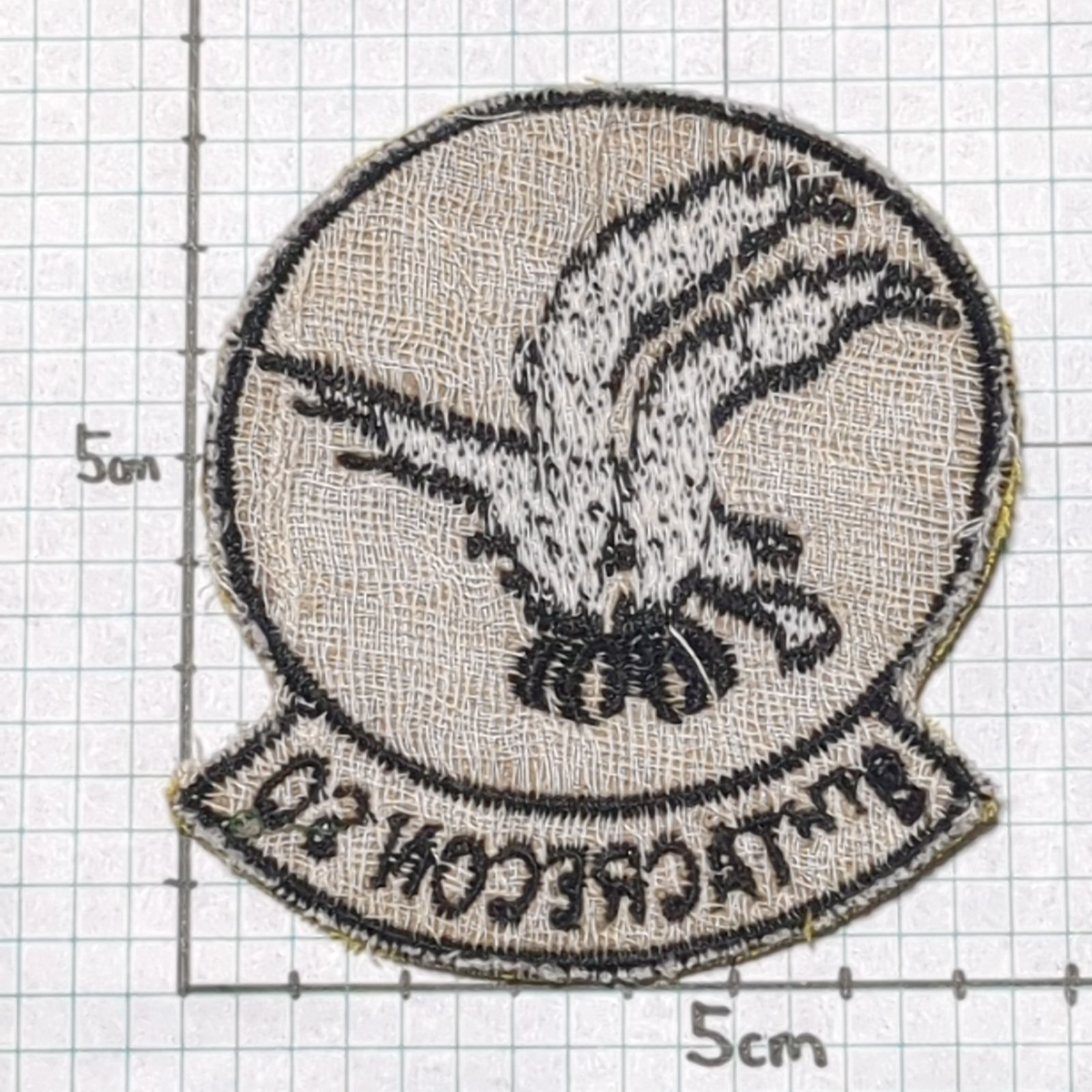 HA18 HAWK 鷲 鷹 ベトナム 戦争 ワッペン 動物 9th TACRECON SQ 黄