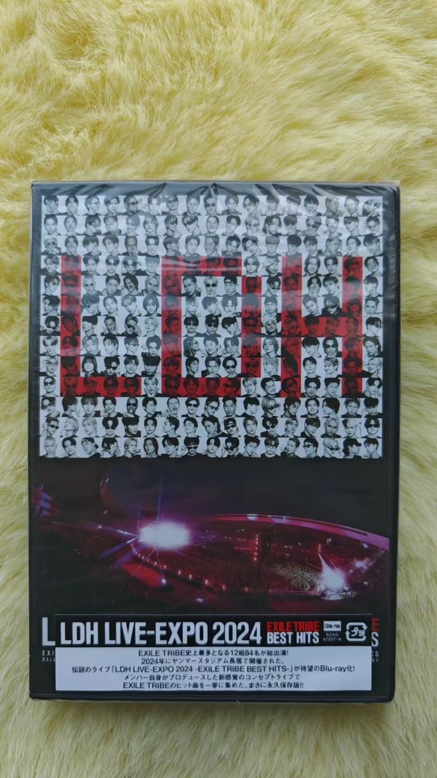 LDH LIVE-EXPO 2024 -EXILE TRIBE BEST HITS-(Blu-ray Disc2枚組) [Blu