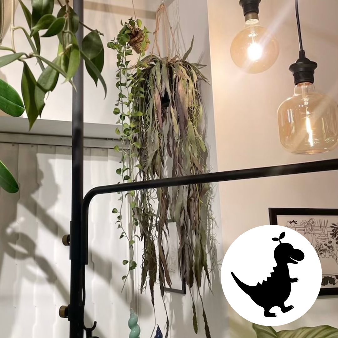 ぶらぶらモシャモシャリプサリス リプサリス フェイクグリーン 人工植物 リアル 造花 観葉植物 ハンギング ディスプレイ インテイアグリーン いなざうるす屋