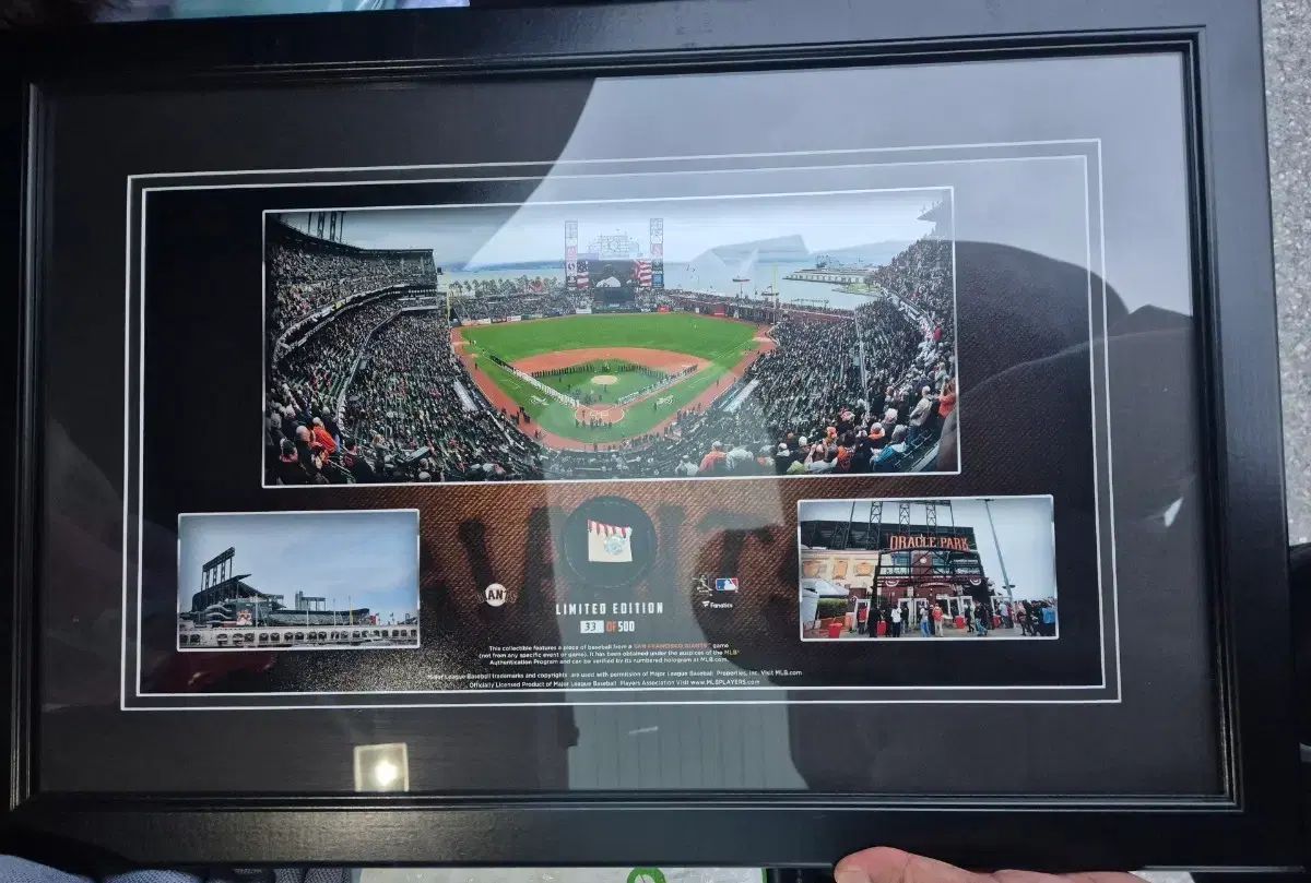 サンフランシスコ ジャイアンツ オラクルパーク MLB モデル 試合使用 野球ボール 額縁